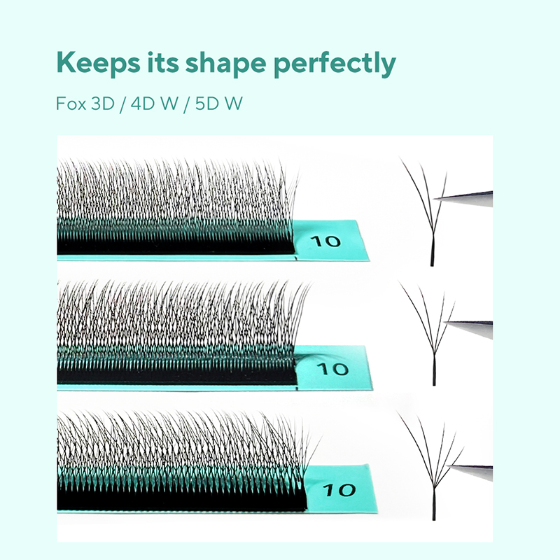 DIYDAY Foxy W-Shaped 3D 4D 5D  - đánh giá và giá Eyelash Extension Volume Cat Eye